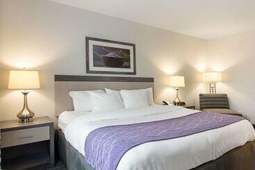 هتل Comfort Inn Williamsburg Gateway
