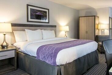 هتل Comfort Inn Williamsburg Gateway