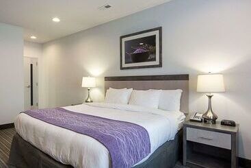 هتل Comfort Inn Williamsburg Gateway
