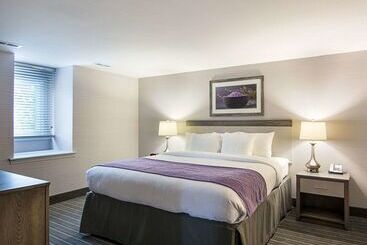 هتل Comfort Inn Williamsburg Gateway