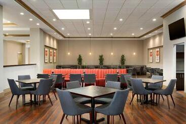 Skyline Hotel Detroit Airport, Surestay Collection By Bw