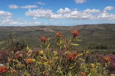 هتل Barefoot Addo Elephant Lodge