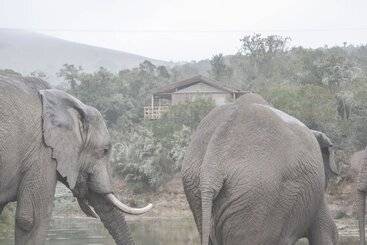 هتل Barefoot Addo Elephant Lodge