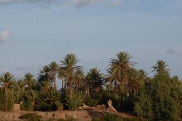 پانسیون Gite Kasbah La Palmeraie