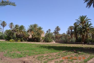 پانسیون Gite Kasbah La Palmeraie