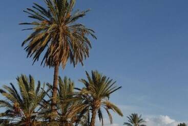 پانسیون Gite Kasbah La Palmeraie