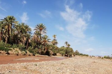 پانسیون Gite Kasbah La Palmeraie