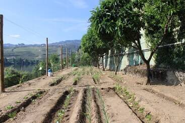 پانسیون Kintal Do Douro