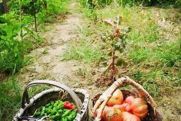 پانسیون Kintal Do Douro