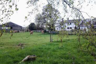 Thorps Farm Bed And Breakfast