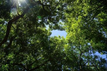 住宿加早餐  Bocage Belle Histoire