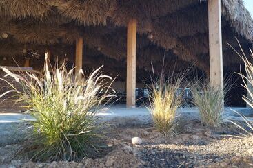 هتل Sama Ras Al Jinz Resort