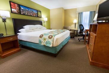 هتل Drury Inn & Suites Houston Galleria