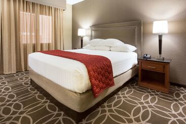 ホテル Drury Inn & Suites San Antonio Riverwalk