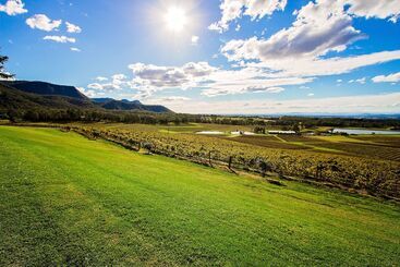 Audrey Wilkinson Vineyard