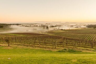 Audrey Wilkinson Vineyard