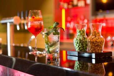 Leonardo Hotel Offenbach Frankfurt