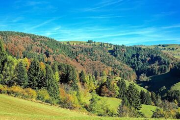 Coucou  & Kuckucksstube - Titisee Neustadt