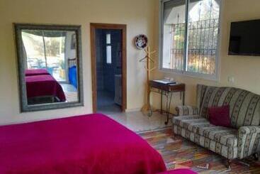 Riad Tanjil