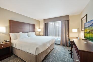 Cobblestone Hotel & Suites   Austin