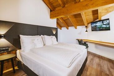 Elements Resort Zell Am See; Bw Signature Collection
