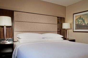 هتل Embassy Suites By Hilton Houston Near The Galleria