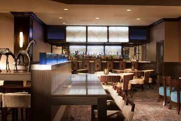 هتل Embassy Suites By Hilton Houston Near The Galleria