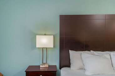 هتل La Quinta By Wyndham Knoxville Airport