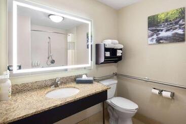 هتل La Quinta By Wyndham Knoxville Airport