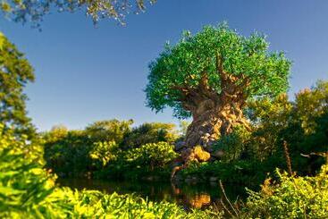 هتل Disney's Riviera Resort