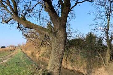 تختخواب و صبحانه Le Jardin De Lacoste