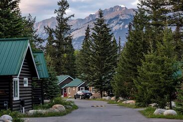 هتل Pine Bungalows