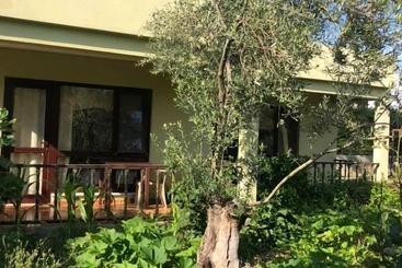 Assos Büyük Yıldızsaray Otel