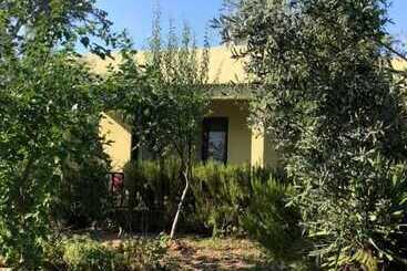 Assos Büyük Yıldızsaray Otel