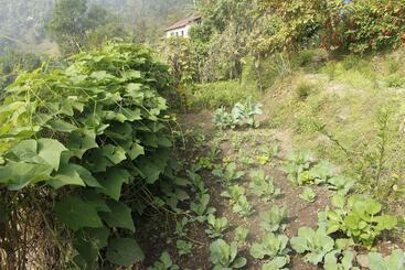 هتل Siddhartha Garden Ayurveda