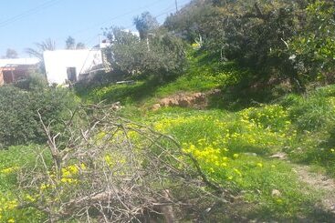 پانسیون Cortijo La Fuensanta
