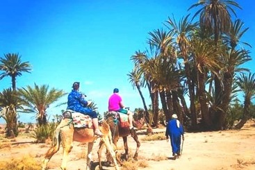 پانسیون Ecoferme Tamalait