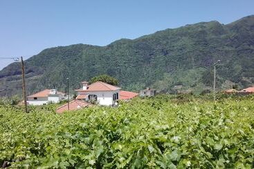 Grannys Farm