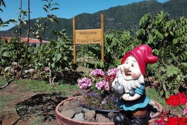 Grannys Farm