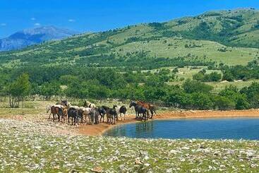 پانسیون Holiday Resort Zlatni Dol Mostar
