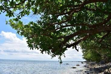 پانسیون Island Breeze Fiji