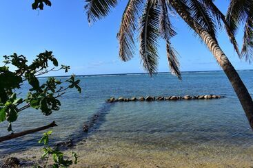 پانسیون Island Breeze Fiji