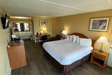 ホテル Clarion Inn & Suites Near The Leconte Center Pigeon Forge