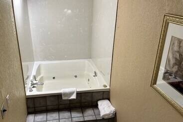 ホテル Clarion Inn & Suites Near The Leconte Center Pigeon Forge