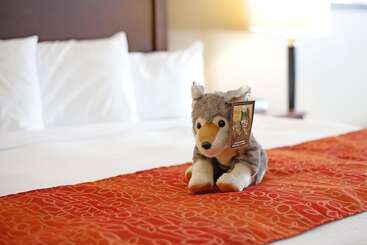 هتل Gray Wolf Inn & Suites