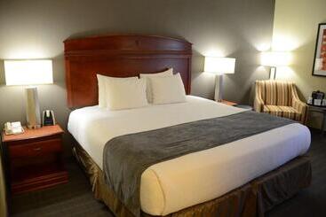 酒店 Best Western Delta Inn