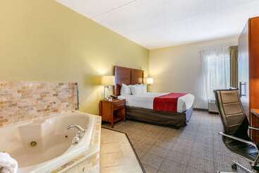 هتل Comfort Inn Downtown