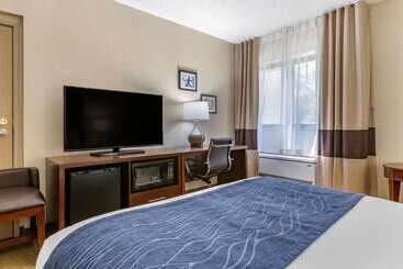هتل Comfort Inn Near Greenfield Village