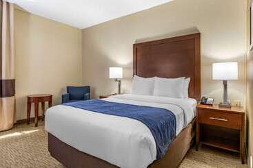 هتل Comfort Inn Near Greenfield Village