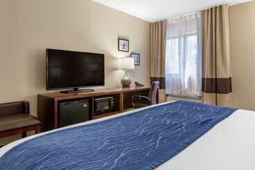هتل Comfort Inn Near Greenfield Village